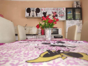 Thermas dos laranjais Casa de temporada MICKEY Top10
